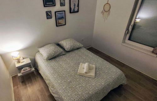 Le Salluste cosy T2 with balcony in Strasbourg - Foto 20