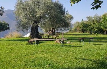 Tropical Studio - Foto 46