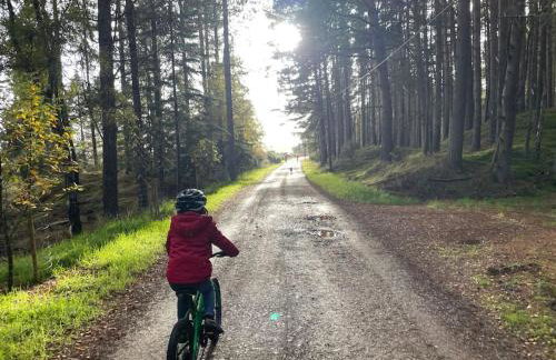 Osprey Hide - Photo 23