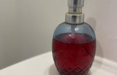 Appartement cosy proche de Paris et sa périphérie-Aéroport CDG-BOURGET-Disneyland - Foto 40