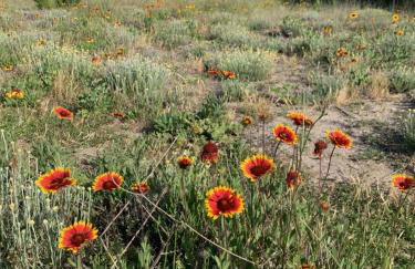 Mon Petit Paradis, vue sur dunes et mer, accès direct plage Robinson, terrasse, WIFI, parking privé, très ressourçant, à Marseillan Plage - Foto 20