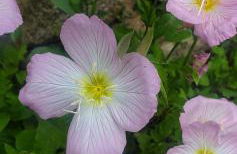 Chez Maggy et Léon - Foto 11