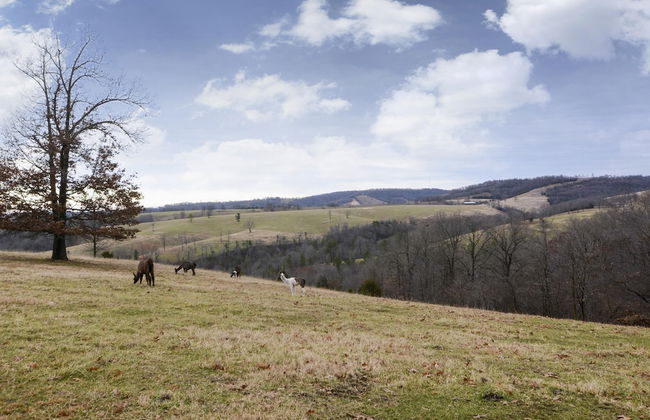 Llama House - Foto 57