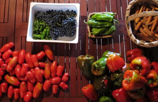 Casa do Cribeiro - Photo 41