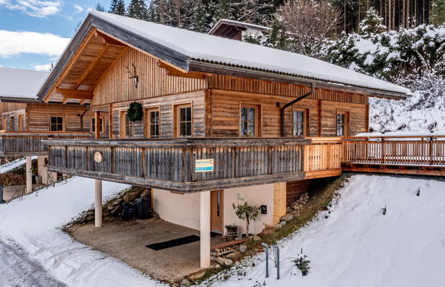 Chalet Venus - Photo 41