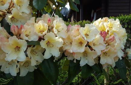 Lieblingsplatz - Foto 26