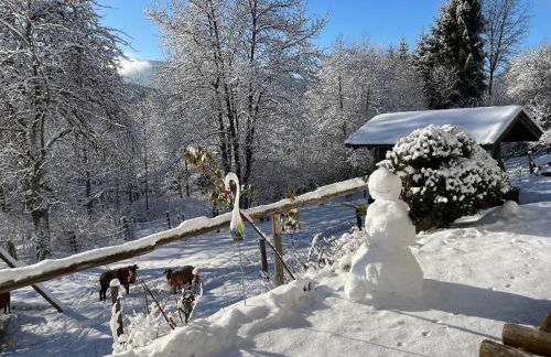 Ferienhaus Wertes - Foto 26