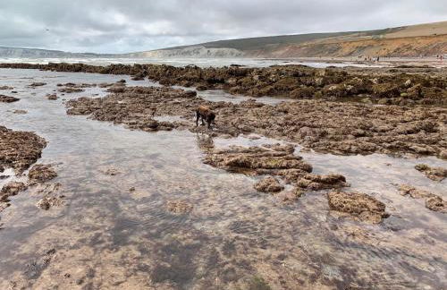 Centre of Yarmouth, Isle of Wight, sunny cottage - Foto 73