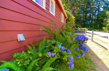 Ocean Park Beach Cottage - Foto 20