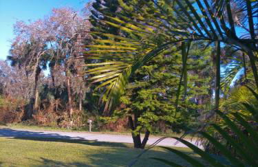 Port Charlotte Palms-Pet friendly, Heated Private Pool and Mini Orchard - Foto 75