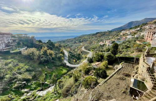 Bodeguita del Tiétar - Foto 30