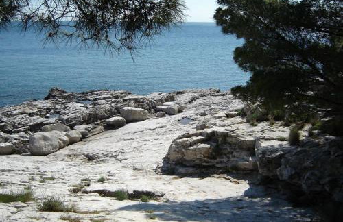 Apartment Gemütliches Appartment direkt am Strand by Interhome - Photo 18