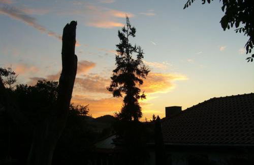 Holiday Home Gemütliches Ferienhaus in Fischbach Rhön by Interhome - Foto 4