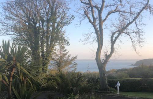 The Pink Cottage upstairs suite & Garden Summer Room - Foto 51