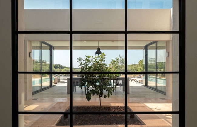 Citrus Grove - Foto 12