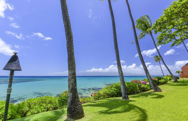 Kuleana 614 - 1Br Condo - Foto 63