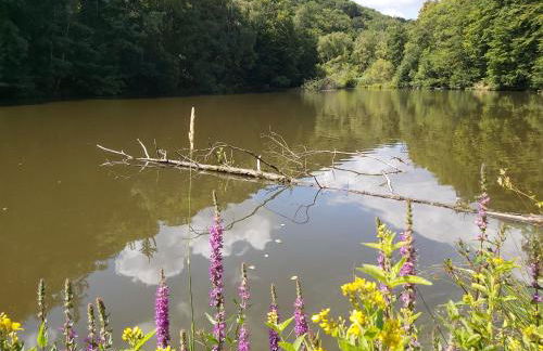 Charmanter Fachwerktraum an der Stadtmauer - Foto 65