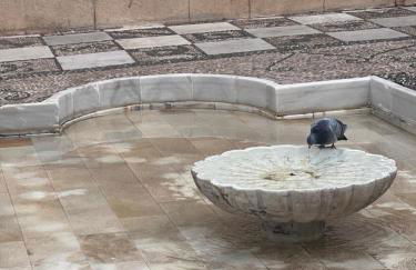 Nueva Córdoba Judería - Foto 43