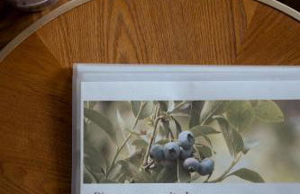 Les Gîtes de Juliane - Calme & spa en altitude - Alsace - Foto 160