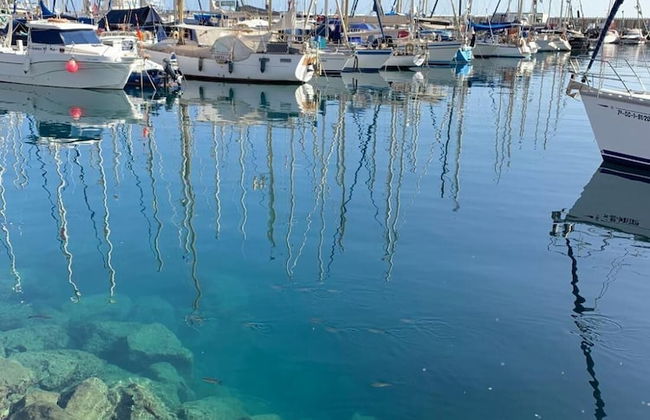 Ilios de Mogán 4 - With Terrace - Photo 14