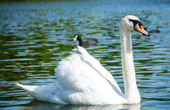 Bright Cosy Urban Apartment near Camden Station - Central London - Foto 34