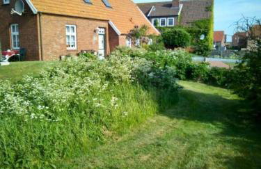 Fewo Baltrumliebe auf Baltrum - Foto 15