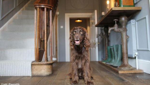 Widbrook Grange Hotel - Photo 2