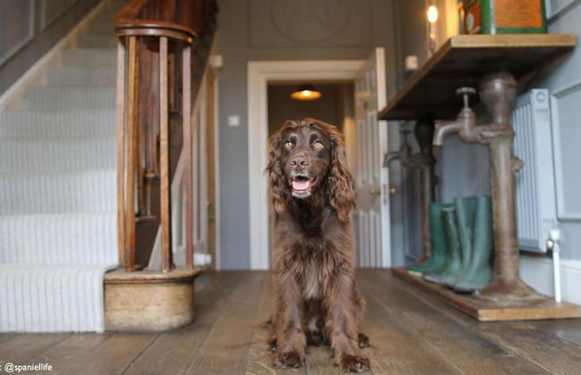 Widbrook Grange Hotel - Foto 2