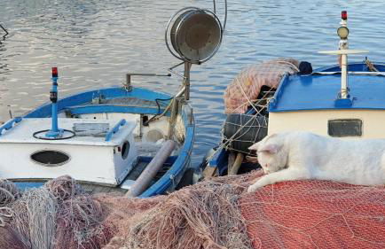 Appartamento Napoli a due passi da Stadio e Mostra - 2 Bagni - Garage sotto casa - Foto 46