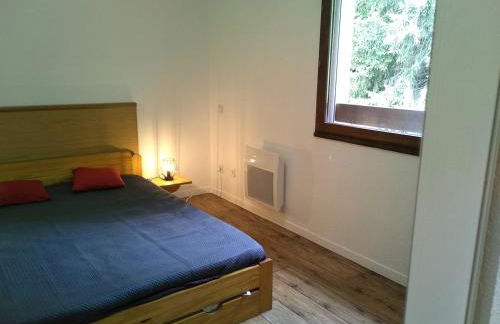 Appartement 39 M2 2 à 4 personnes - Foto 10