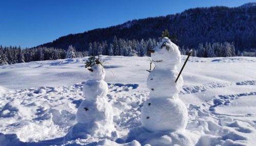 Chalet Menkenhof - Foto 5