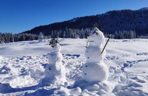 Chalet Menkenhof - Foto 5