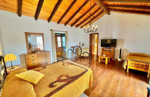 Guanche 'Traditional Canarian House' - Foto 4