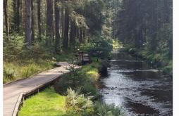 Deer Cabin-hot tub-dog friendly-mountain view - Foto 41