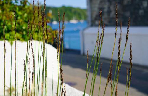 Luxury holiday cottage by the harbour in St Mawes - Foto 6