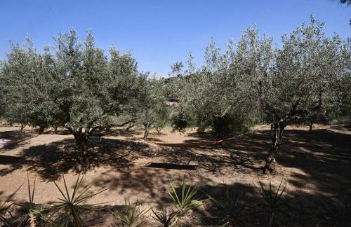 Dream House - Foto 56