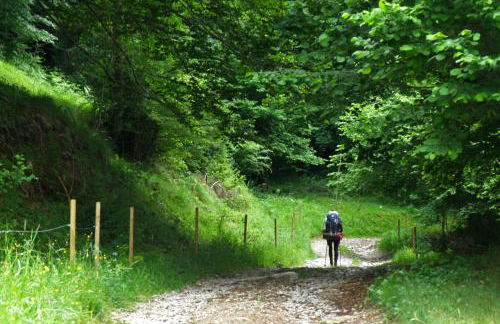Allotjaments Vall de Muntanyes - Foto 36