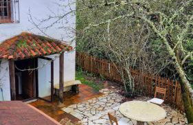 Huerto Fernandito - Foto 24