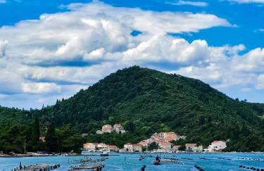 Mala Kuća - Photo 22