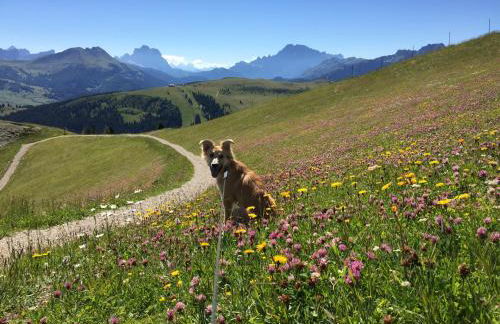 Residence Ciasa Dl Mone - Foto 12