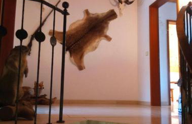 Haus Säntisblick - Foto 5