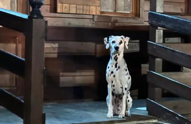 Desconexión y paz, cabaña en la sierra - Foto 15