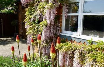 Little Woodside a beautiful New Forest self contained private luxury annexe - Foto 53