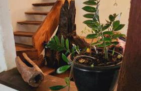 Casa Rústica de Madeira - Foto 18