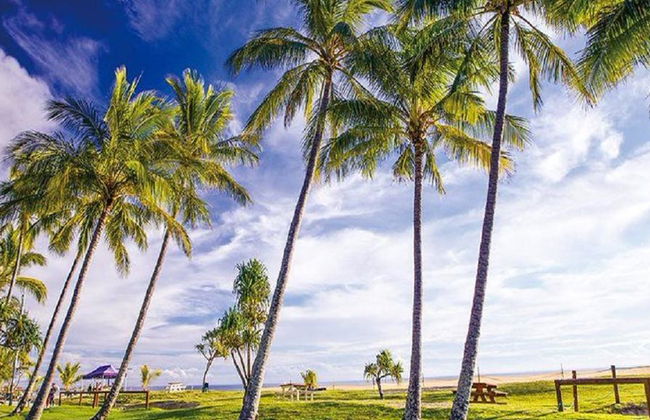 Crociera giornaliera nel deserto dell'isola di Tangalooma - Foto 2