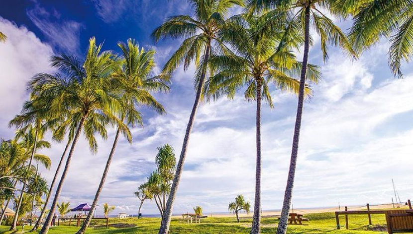 Crociera giornaliera nel deserto dell'isola di Tangalooma - Foto 2