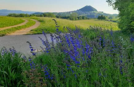Ferienwohnung Bauchert - Photo 4