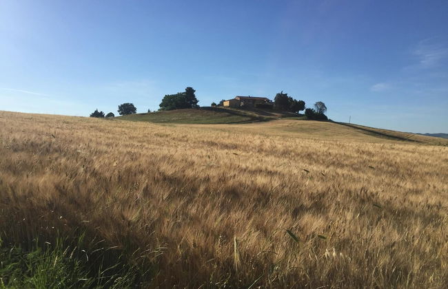 Poggio alla Pietra 26 - Foto 58