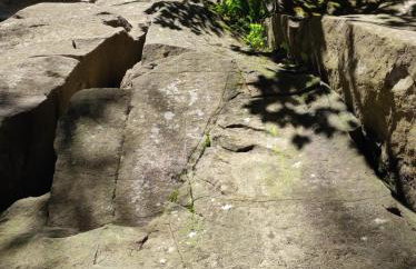 Pieśń Poranka Domek - Foto 48