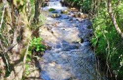 Quinta da Eira - Foto 19